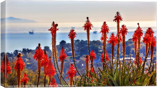 Orange Aloe Cactus Oil Platforms Santa Barbara California Canvas Print by William Perry