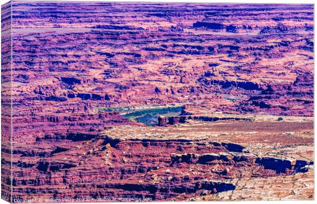 Grand View Point Overlook Canyonlands National Park Moab Utah  Canvas Print by William Perry