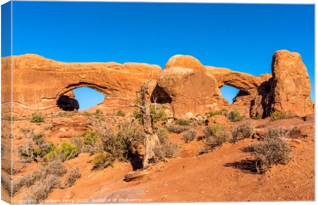 North South Windows Section Arches National Park Moab Utah  Canvas Print by William Perry
