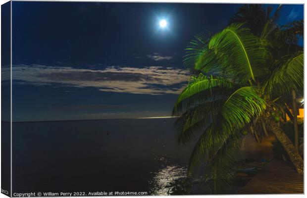 Moon Night Reflection Blue Water Moorea Tahiti Canvas Print by William Perry