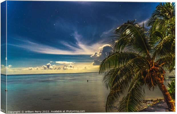 Moonlight Stars Clouds Night  Coconut Palm Trees Water Moorea Ta Canvas Print by William Perry