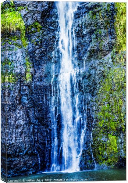Colorful Tropical Faarumai Waterfalls Mountain Tahiti Island  Canvas Print by William Perry