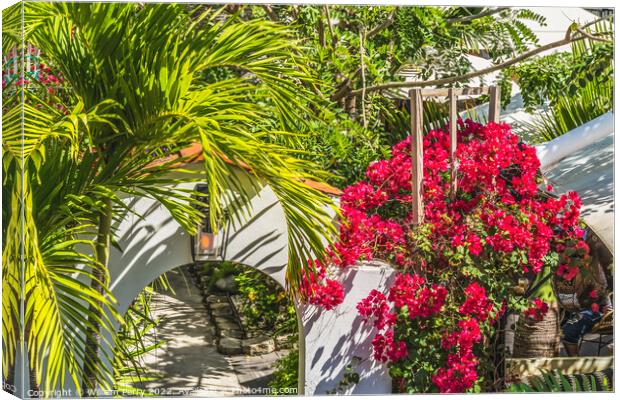 Arch Red Bougainvillea Restaurant Miami Beach Florida Canvas Print by William Perry