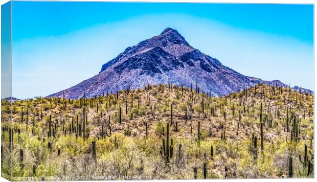 Mountain Saguaro Blooming Cactus Sonora Desert Tucson Arizona Canvas Print by William Perry