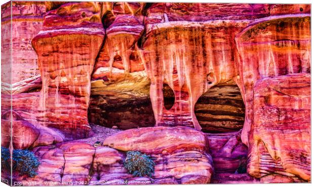 Rose Red Rock Tombs Street of Facades Petra Jordan  Canvas Print by William Perry