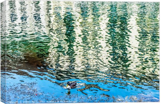 Duck Inner Harbor Buildings Reflection Abstract Lucerne Switzerl Canvas Print by William Perry