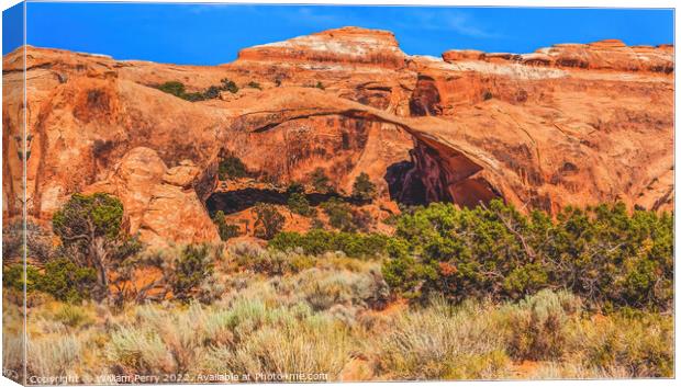 Colorful Landscape Arch Devils Garden Arches National Park Moab  Canvas Print by William Perry