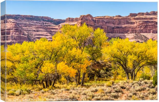 Autumm Yellow Leaves Rock Canyon Arches National Park Moab Utah  Canvas Print by William Perry