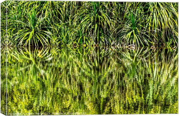Pandanus Reflection Fairchild Garden Coral Gables Florida Canvas Print by William Perry