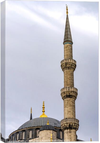 Blue Mosque Dome Minaret Istanbul Turkey Canvas Print by William Perry