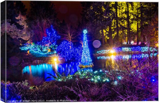 Christmas Lights Van Dusen Garden Vancouver British Columbia Canvas Print by William Perry