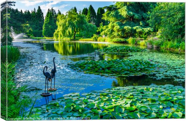 Bird Statues Lily Pads Van Dusen Garden Vancouver British Columb Canvas Print by William Perry