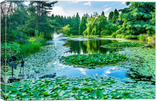 Bird Statues Lily Pads Van Dusen Garden Vancouver British Columb Canvas Print by William Perry