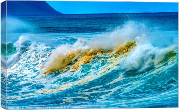 Colorful Large Wave Sand Waimea Bay North Shore Oahu Hawaii Canvas Print by William Perry