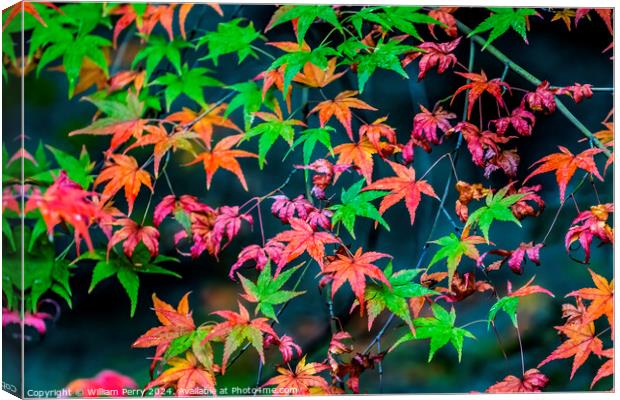 Colorful Fall Leaves Tofuku-Ji Zen Buddhist Temple Kyoto Japan Canvas Print by William Perry