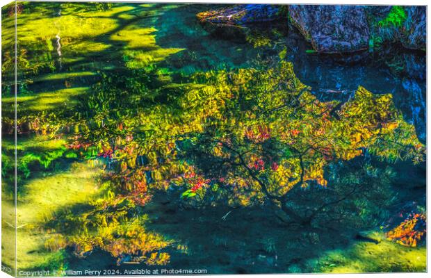 Garden Reflection Ginkakuji Silver Pavilion Temple Kyoto Japan Canvas Print by William Perry