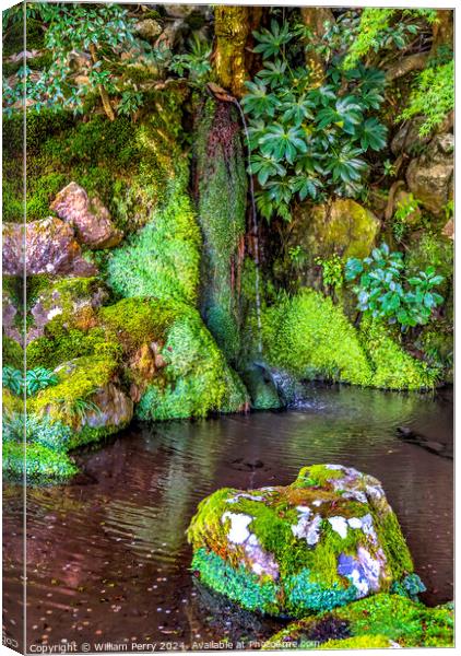 Waterfall Garden Ginkakuji Silver Pavilion Buddhist Temple Kyoto Canvas Print by William Perry