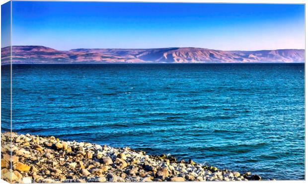 Sea of Galilee Capernaum from Saint Peter's House Israel  Canvas Print by William Perry