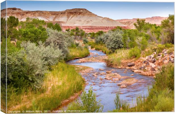 Fremont River Capitol Reef National Park Utah Canvas Print by William Perry