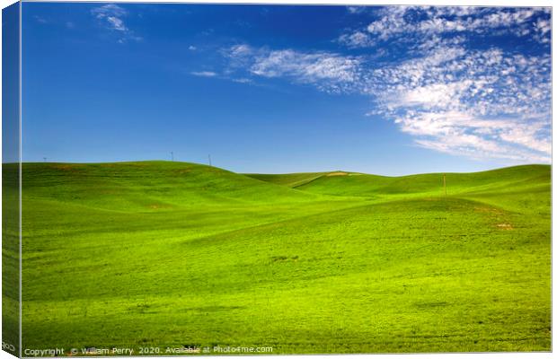 Grass Blue Skies Palouse Washington State Canvas Print by William Perry