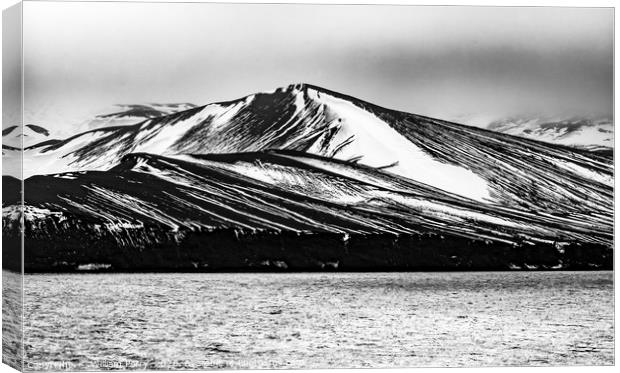 Black and White Snow Mountains Telefon Bay Decepti Canvas Print by William Perry