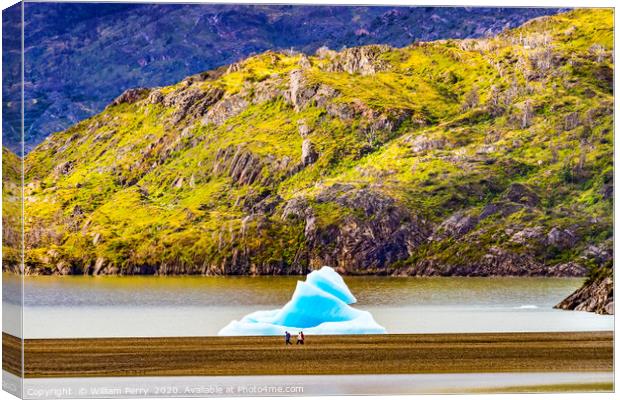 Blue Iceberg Grey Lake Torres del Paine National P Canvas Print by William Perry