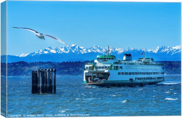 Seagull Washington State Ferry Olympic Mountains E Canvas Print by William Perry
