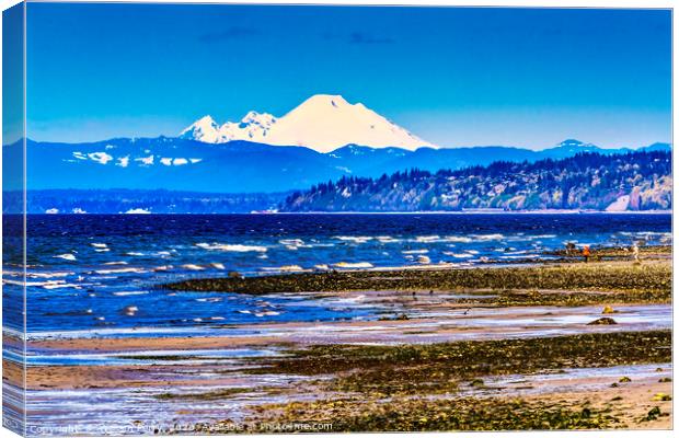 Mount Baker Bracketts Landing Edmonds Washington Canvas Print by William Perry