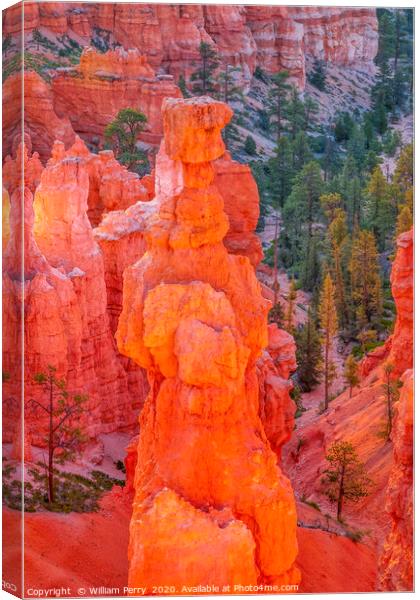 Thor's Hammer Hoodoo Sunset Point Bryce Canyon Nat Canvas Print by William Perry