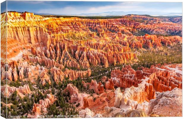 Amphitheater Hoodoos Bryce Canyon National Park Ut Canvas Print by William Perry