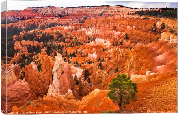 Amphitheater Hoodoos Bryce Canyon National Park Ut Canvas Print by William Perry