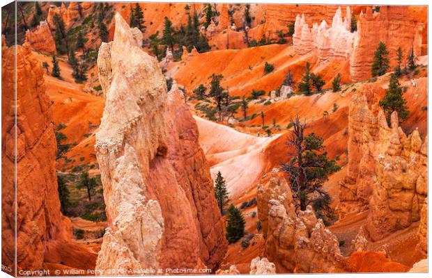 Hoodoos Bryce Canyon National Park Utah Canvas Print by William Perry