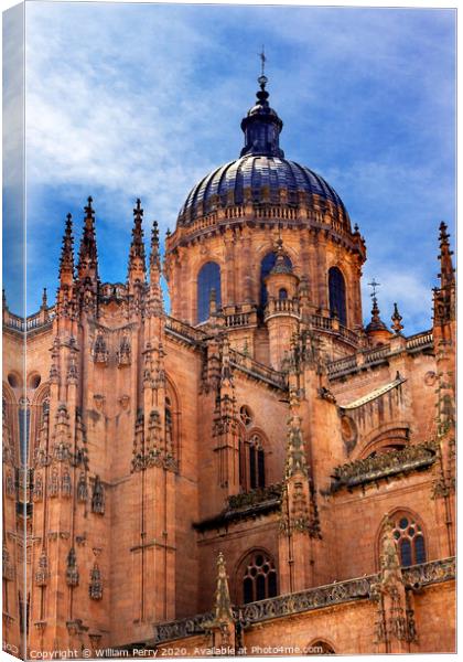 Stone Dome New Salamanca Cathedral Spain Canvas Print by William Perry