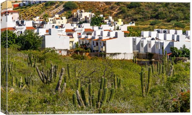 Mexican Village Cardon Cactus Sonoran Desert  Baja Los Cabos Mexico Canvas Print by William Perry