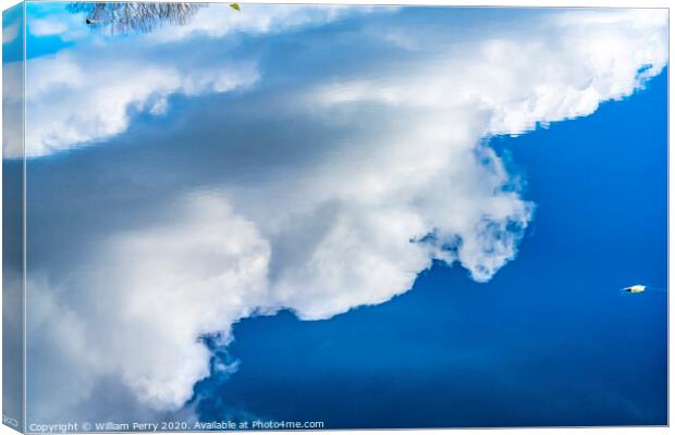 Larsen Lake Reflection Blueberry Farm Park Bellevue Washington Canvas Print by William Perry