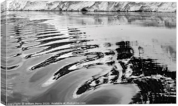 Black White Snow Mountains Glaciers Refection Abstract Dorian Ba Canvas Print by William Perry