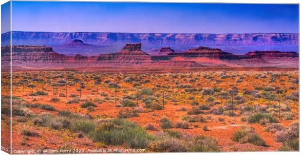 Valley of the Gods Mesa Rock Formations Monument Valley Utah Canvas Print by William Perry