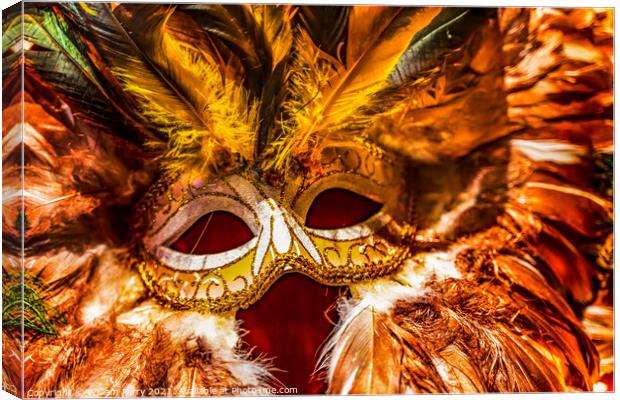 Colorful Orange Yellow Mask Feathers Mardi Gras New Orleans Loui Canvas Print by William Perry