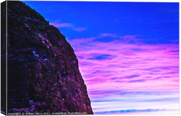 Colorful Sunset Sea Birds Haystack Rock Canon Beach Oregon Canvas Print by William Perry