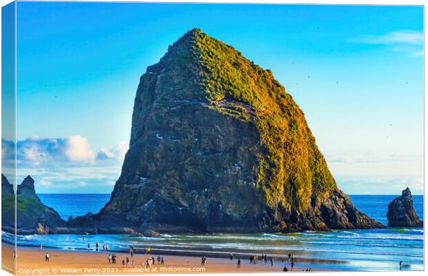 Colorful Sea Birds Haystack Rock Canon Beach Oregon Canvas Print by William Perry