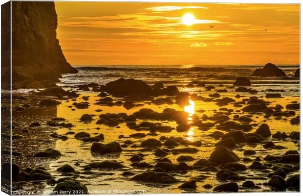 Colorful Yellow Haystack Rock Low Tide Pools Canon Beach Oregon Canvas Print by William Perry