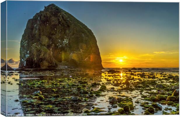 Colorful Yellow Haystack Rock Low Tide Pools Canon Beach Oregon Canvas Print by William Perry