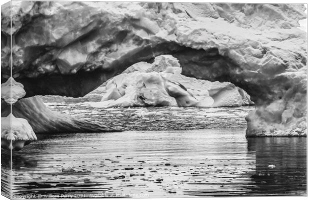 Black White Floating Blue Iceberg Arch Reflection Paradise Bay S Canvas Print by William Perry