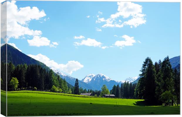 Italian Alps in the province of Trentino Canvas Print by Alfred S. Sikula