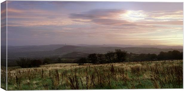 Close Encounter Canvas Print by Wayne Molyneux