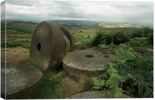 Stanage Stones Canvas Print by Wayne Molyneux