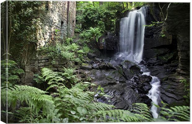 Lumsdale Valley Canvas Print by Wayne Molyneux