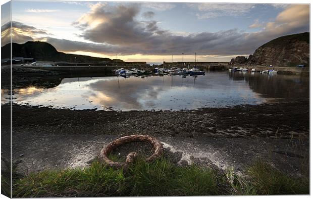 Findochty Harbour Canvas Print by Wayne Molyneux