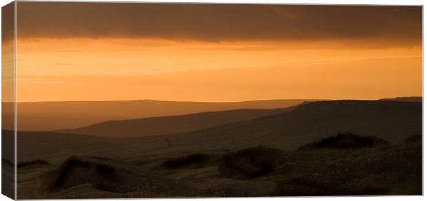 Dusk Canvas Print by Wayne Molyneux