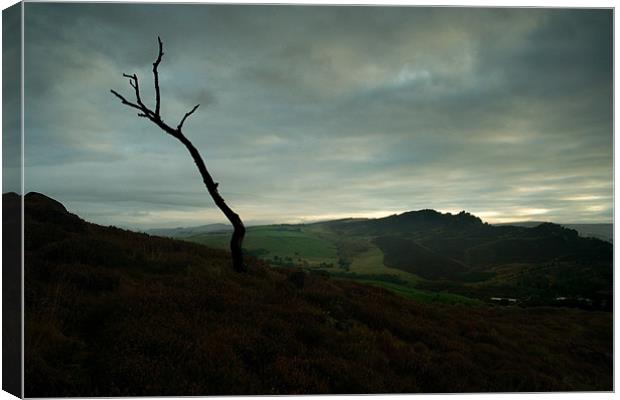 Dawn over Ramshaw Rocks Canvas Print by Wayne Molyneux